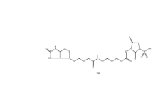 127062-22-0        Sulfo-NHS-LC-Biotin	       水溶生物素活性酯交聯(lián)劑，6-(生物素酰胺)己酸磺酸基琥珀酰亞胺酯鈉鹽	