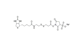 325143-98-4        Sulfo-NHS-SS-biotin，Sulfo-NHS-SS-Biotin sodium	        生物素-二硫鍵-磺酸-琥珀酰亞胺酯	
