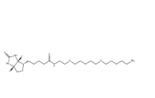  663171-32-2，Biotin-PEG6-NH2，小分子PEG