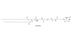 385437-57-0；磷脂PEG生物素；DSPE-PEG-Biotin	
