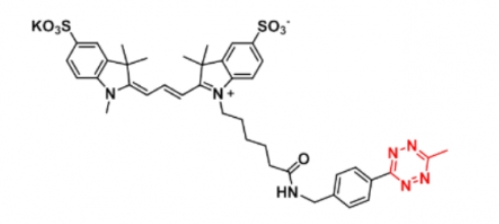 Me-tetrazine-Disulfo-Cyanine3；甲基四嗪-磺酸基Cy3