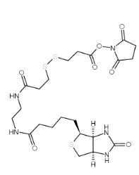 NHS-SS-Biotin，CAS號：142439-92-7           瑞禧生物