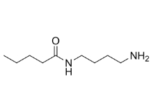C4-Amide-C4-NH2，CAS號：1018541-17-7