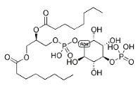 PI(4)P, DI C8，CAS號(hào)：214069-07-5，4-單磷酸磷脂酰肌醇