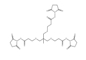 173414-89-6，m-C-tri(CH2-PEG1-NHS ester)      瑞禧生物