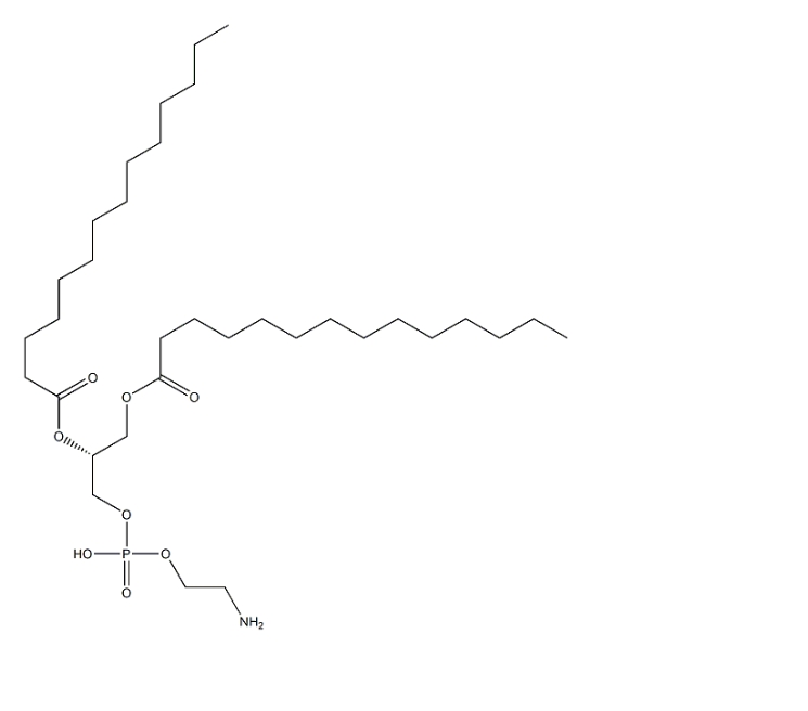 998-07-2，DMPE（1,2-二肉豆蔻酰-sn-甘油-3-磷酰乙醇胺）