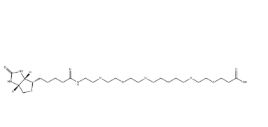 1352814-10-8，(+)-Biotin-PEG6-CH2CH2COOH