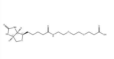 1365655-89-5，(+)-Biotin-PEG2-CH2CH2COOH