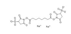 127634-19-9，BS3 Cross linker(diso dium)