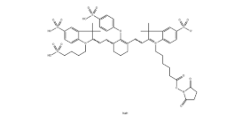IRDye 800 NHS，CAS：956579-01-4