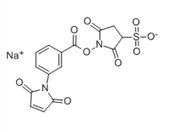 92921-25-0，M-馬來酰亞胺苯甲酸琥珀酰亞胺酯