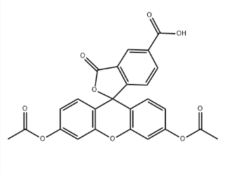 79955-27-4，5- 羧基熒光素二乙酸酯