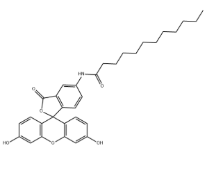 107827-77-0，5-十二烷酰氨基熒光素