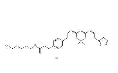217190-24-4，氟化硼二吡咯 TR Cadaverine